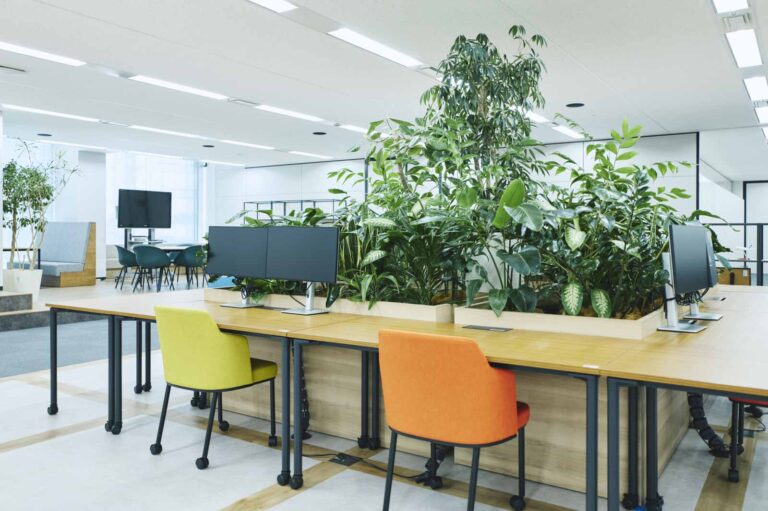 こちらも2階ミーティングエリア。グリーンを囲むように配置されたデスクで仕事をするこもできます。 